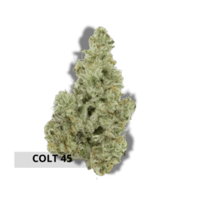 Colt 45