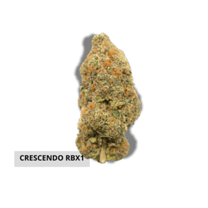 Crescendo RBX1 Ethos