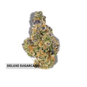 Deluxe sugarcane in house