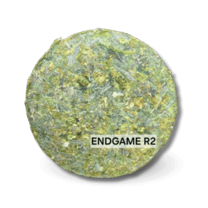 Endgame R2 อัดแท่ง