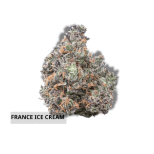 France ice cream LIT