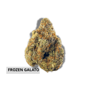 Frozen gelato In house