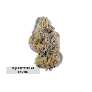 Fuji Fritters Exotic