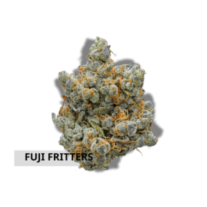 Fuji Frltters ( Ootdoor )