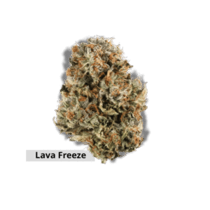 Lava Freeze
