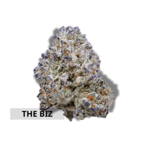 The Biz